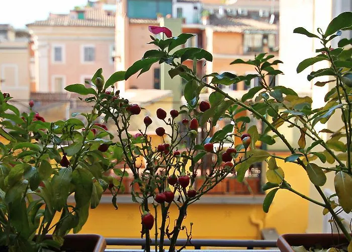 Гостевой дом Magenta Campo Dei Fiori Рим
